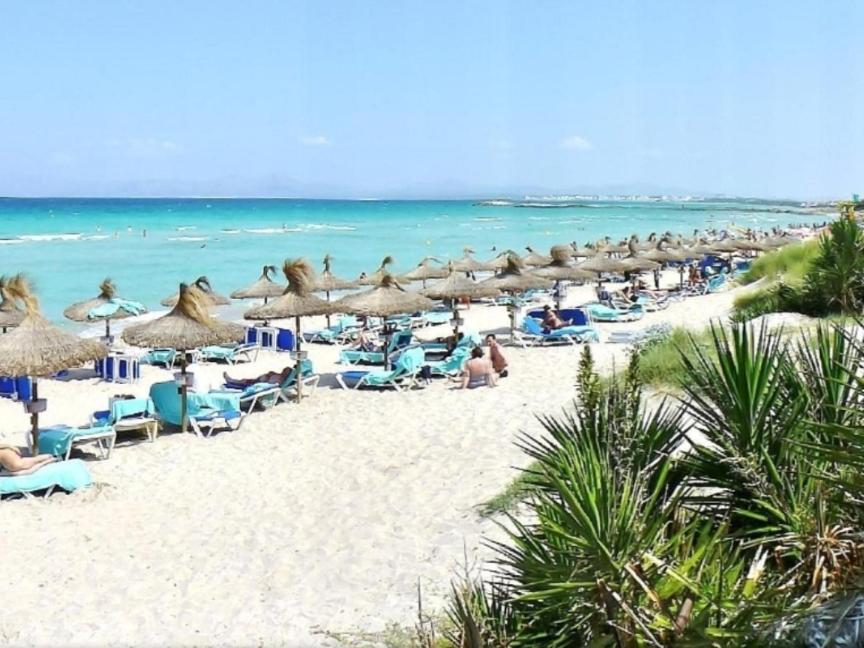 Pool Near Port de Alcudia (Mallorca)